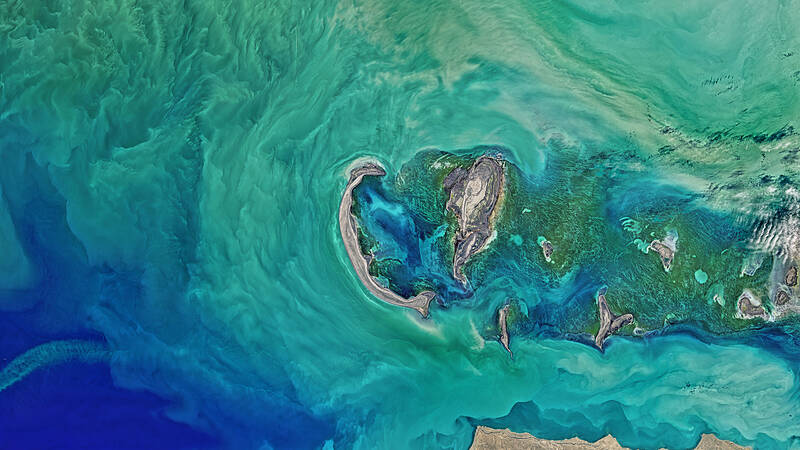 Photo_background_Alma (3)__web photo_background_alma-3__web-2